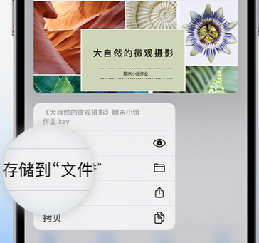 汝州apple维修中心分享iPhone文件应用中存储和找到下载文件