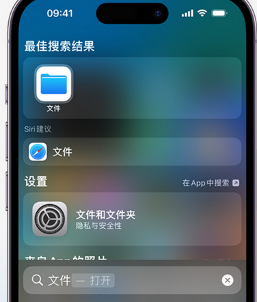 汝州apple维修中心分享iPhone文件应用中存储和找到下载文件 