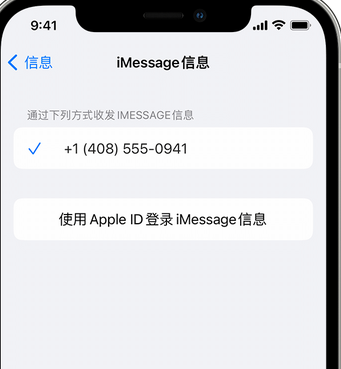 汝州apple维修iPhone上无法正常发送iMessage信息 