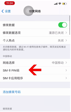 汝州苹果14维修网分享如何给iPhone14的SIM卡设置密码 