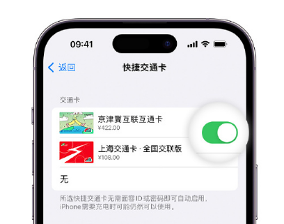 汝州apple维修点分享iPhone上更换Apple Pay快捷交通卡手绘卡面 