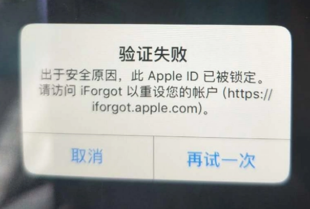 汝州iPhone维修分享iPhone上正常登录或使用AppleID怎么办 