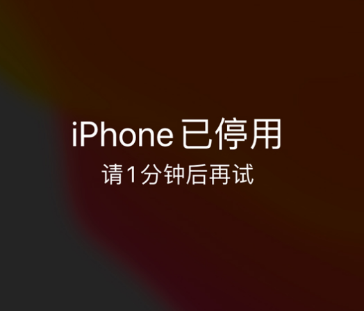 汝州苹果手机维修分享:iPhone 显示“不可用”或“已停用”怎么办？还能保留数据吗？ 