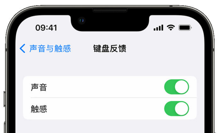 汝州苹果手机维修分享iPhone 14触感键盘使用方法 