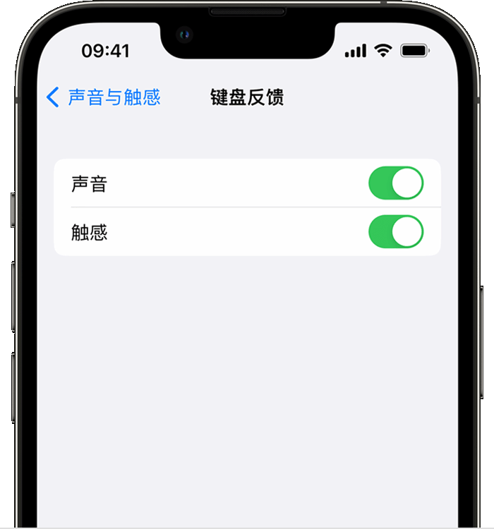 汝州苹果14维修店分享如何在 iPhone 14 机型中使用触感键盘 