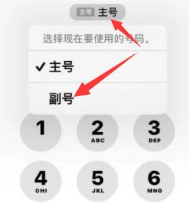 汝州苹果14维修店分享iPhone 14 Pro Max使用副卡打电话的方法 