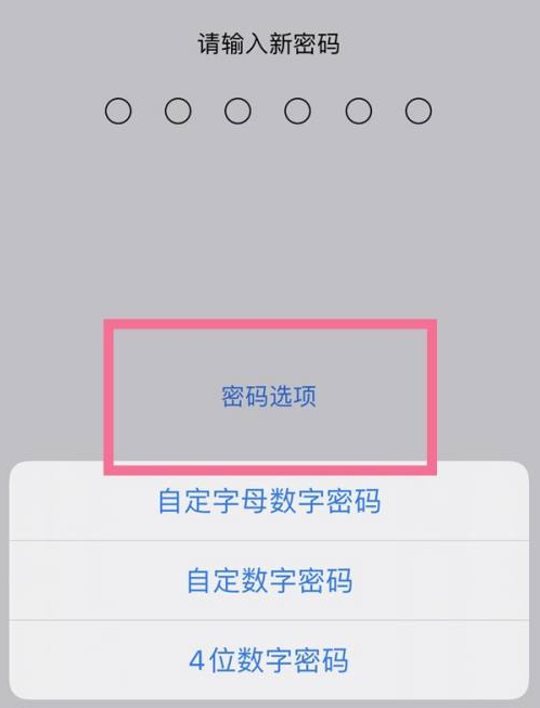 汝州苹果14维修分享iPhone 14plus设置密码的方法 