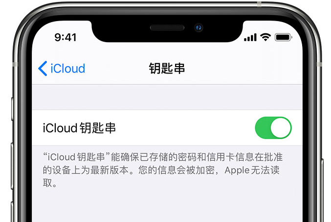 汝州苹果手机维修分享在 iPhone 上开启 iCloud 钥匙串之后会储存哪些信息 