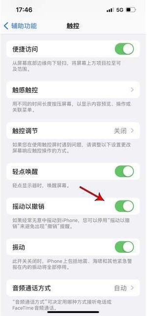 汝州苹果手机维修分享iPhone手机如何设置摇一摇删除文字 