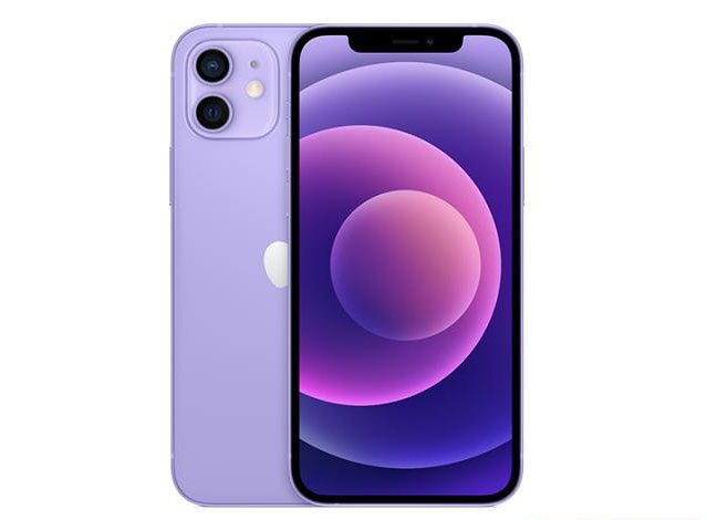 汝州苹果手机维修分享现阶段要不要入手紫色版iPhone12 