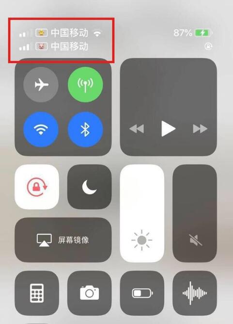 汝州苹果手机维修分享为 iPhone 12 双卡设置标签 
